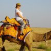 Urlaub in Indien 2016